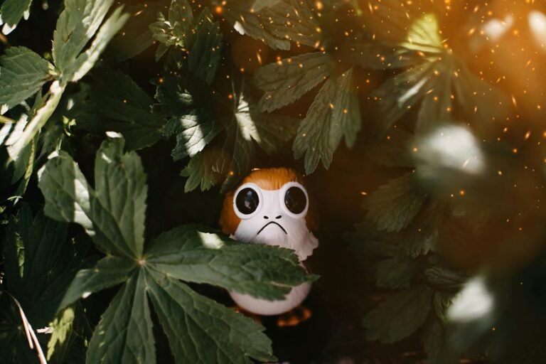 latest movies on zippymoviez